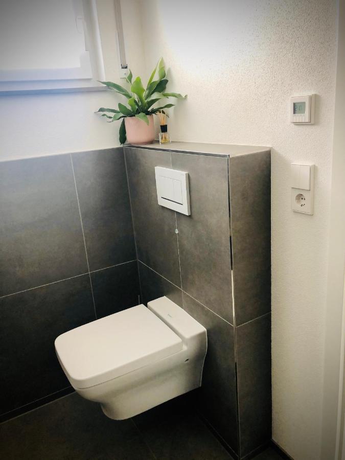 Ferienwohnung No.55 Lörrach Екстериор снимка